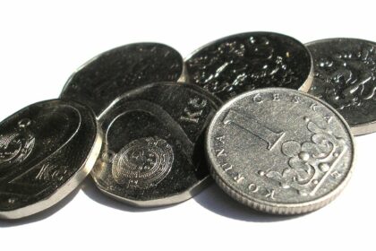 ochrana před zděděním dluhů v insolvenci